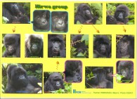 HIRWA GROUP